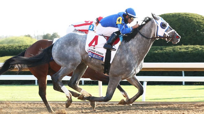 Kentucky Derby 21 Horses Here S An Analysis On Possible Performance