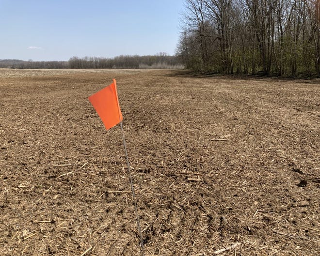 A flag marks the boundary line of where the Ross County Park District is working to develop an unfenced, leash-free dog area within the boundaries of Maple Grove Prairie on the corner of Anderson Station Road and Maple Grove Road. This would be the first publicly owned leash-free area available within Ross County.