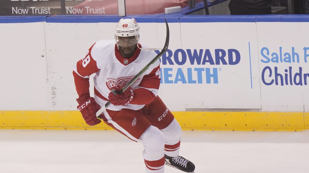 Red Wings show confidence Givani Smith is ready to stick in the NHL 2 Red Wings show confidence Givani Smith is ready to stick in the NHL 1