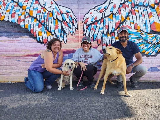 Heather Greenfield (left) of Paws Across Borders poses in Tucson with Sophie Boccard and Socrates Figueroa of Mazatlan Animal Rescue. Dogs Canela (left) and Chago are up for adoption through Paws Across Borders.