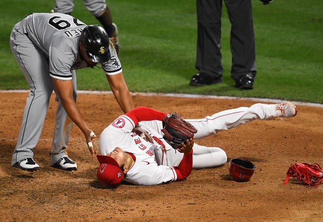 Chicago White Sox first baseman Jose Abreu checks on Los Angeles Angels pitcher Shohei Ohtani after a collision between the two at home plate.