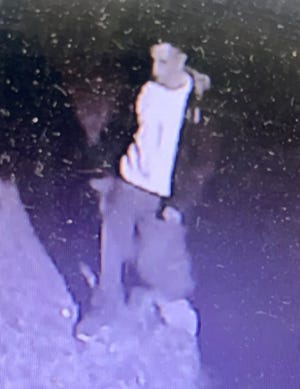 Security video image of the theft suspect.