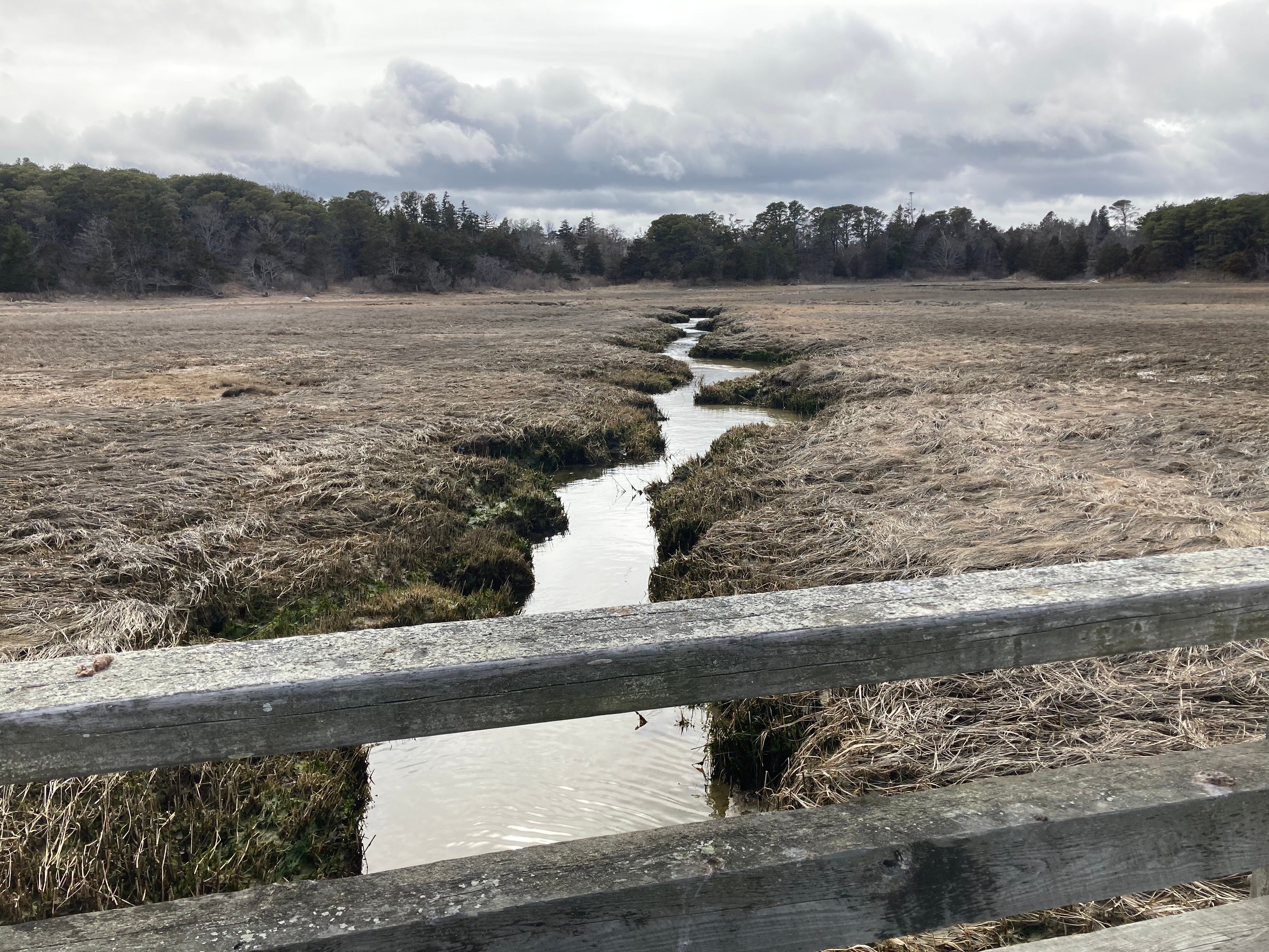 Curious Cape Cod: Pirate ship sank, crew arrested on Pochet Island
