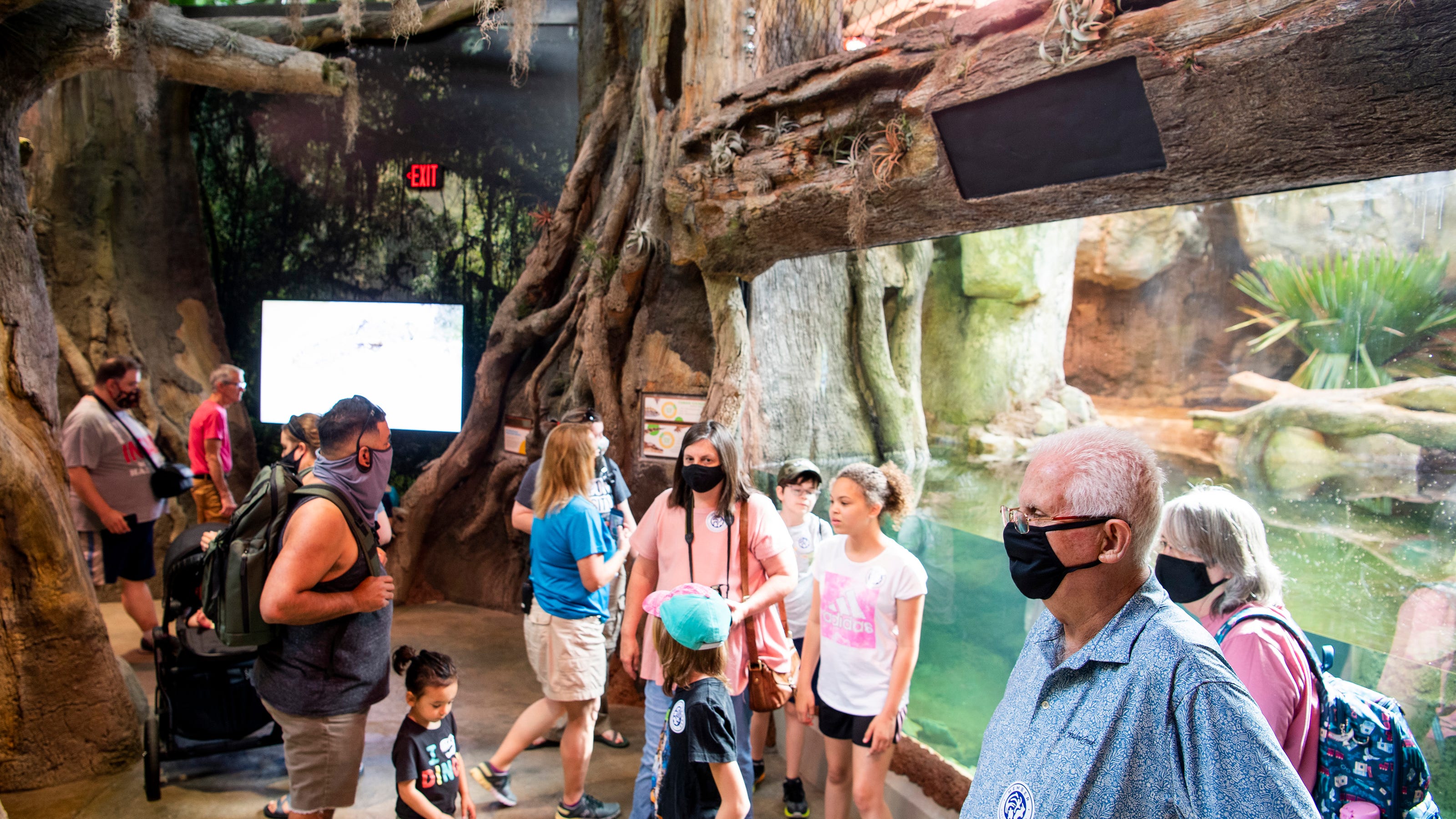 Zoo Knoxville opens Clayton Family ARC amphibian and reptile campus