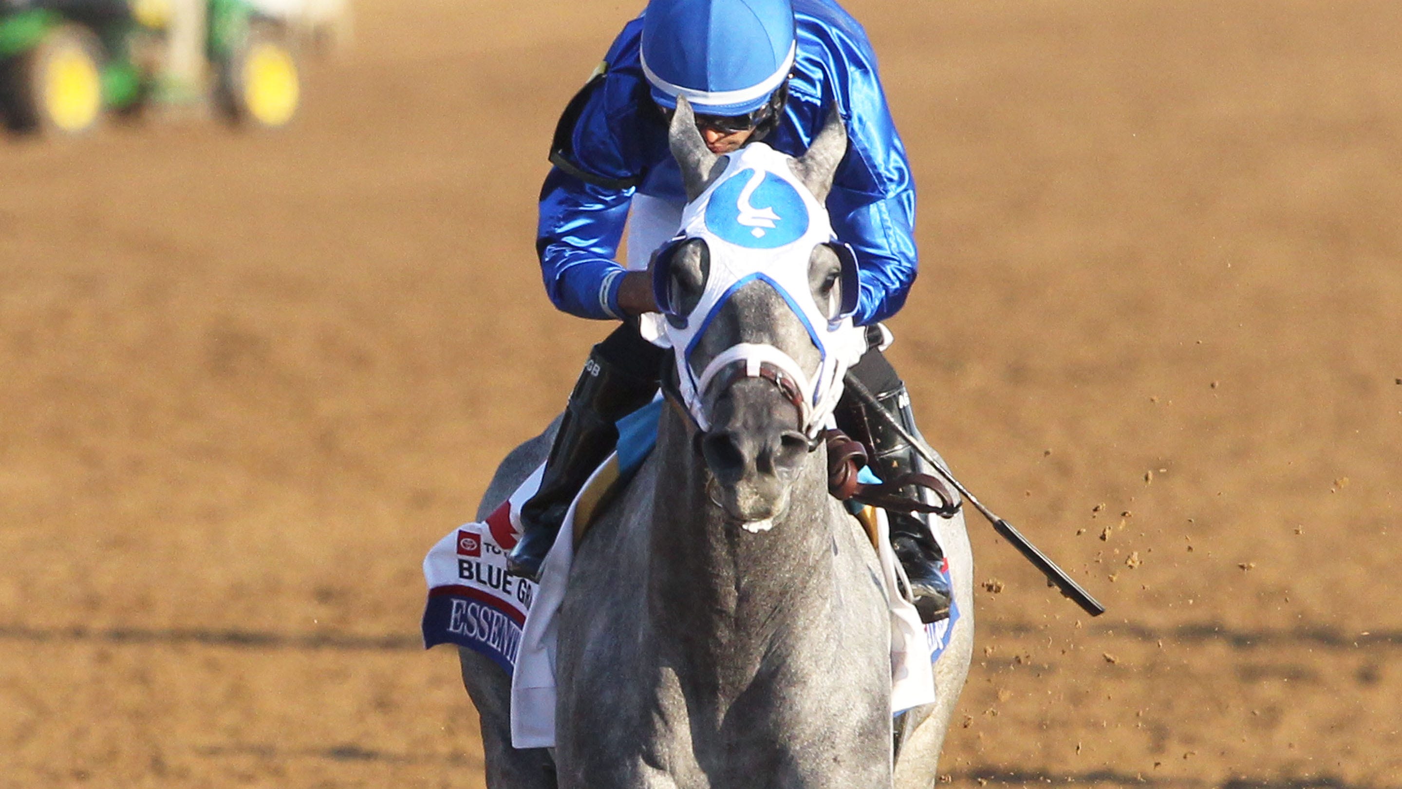 Kentucky Derby 2025 horses Essential Quality