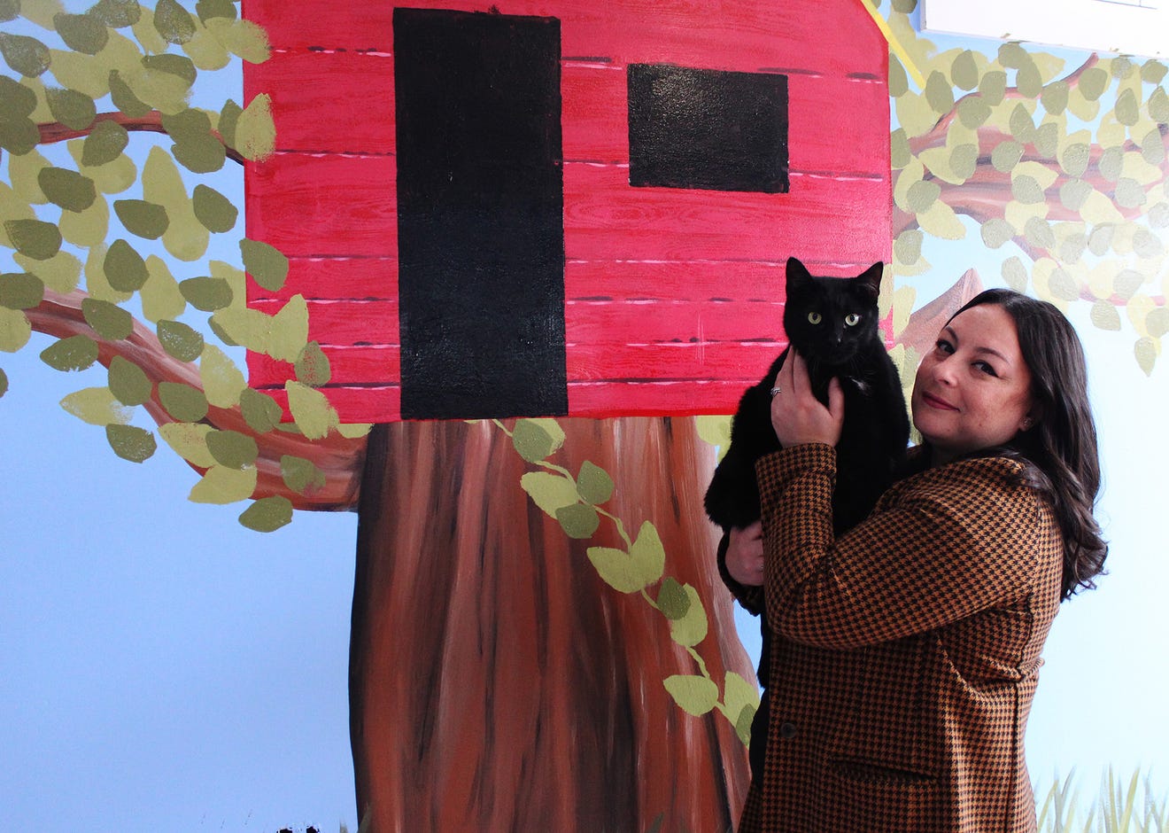 Bajah's Cat Cafe in Tiverton where you can eat, drink and adopt a cat