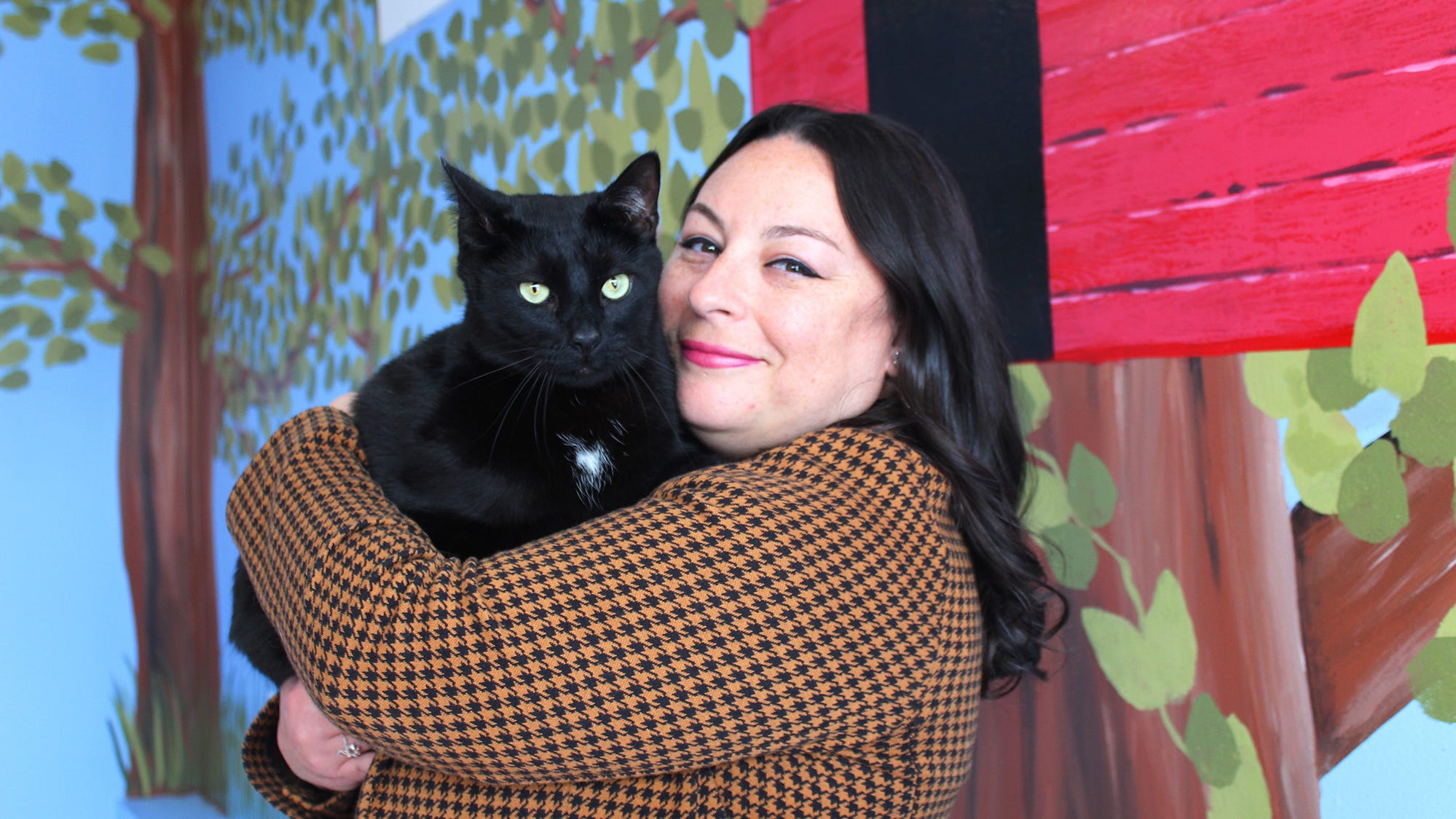 Bajah's Cat Cafe in Tiverton where you can eat, drink and adopt a cat