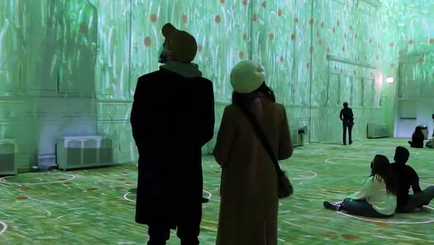 van gogh immersive discount code