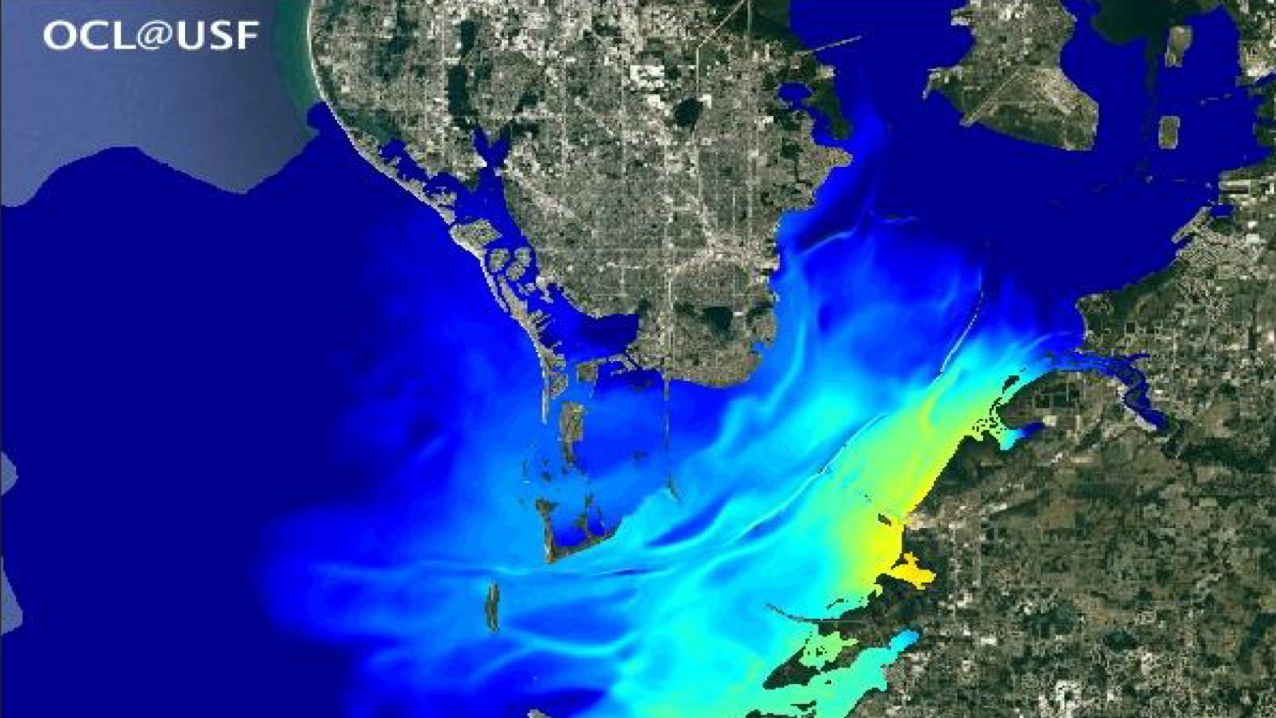USF model shows path of polluted Piney Point discharge water as it spreads around Tampa Bay - Sarasota Herald-Tribune