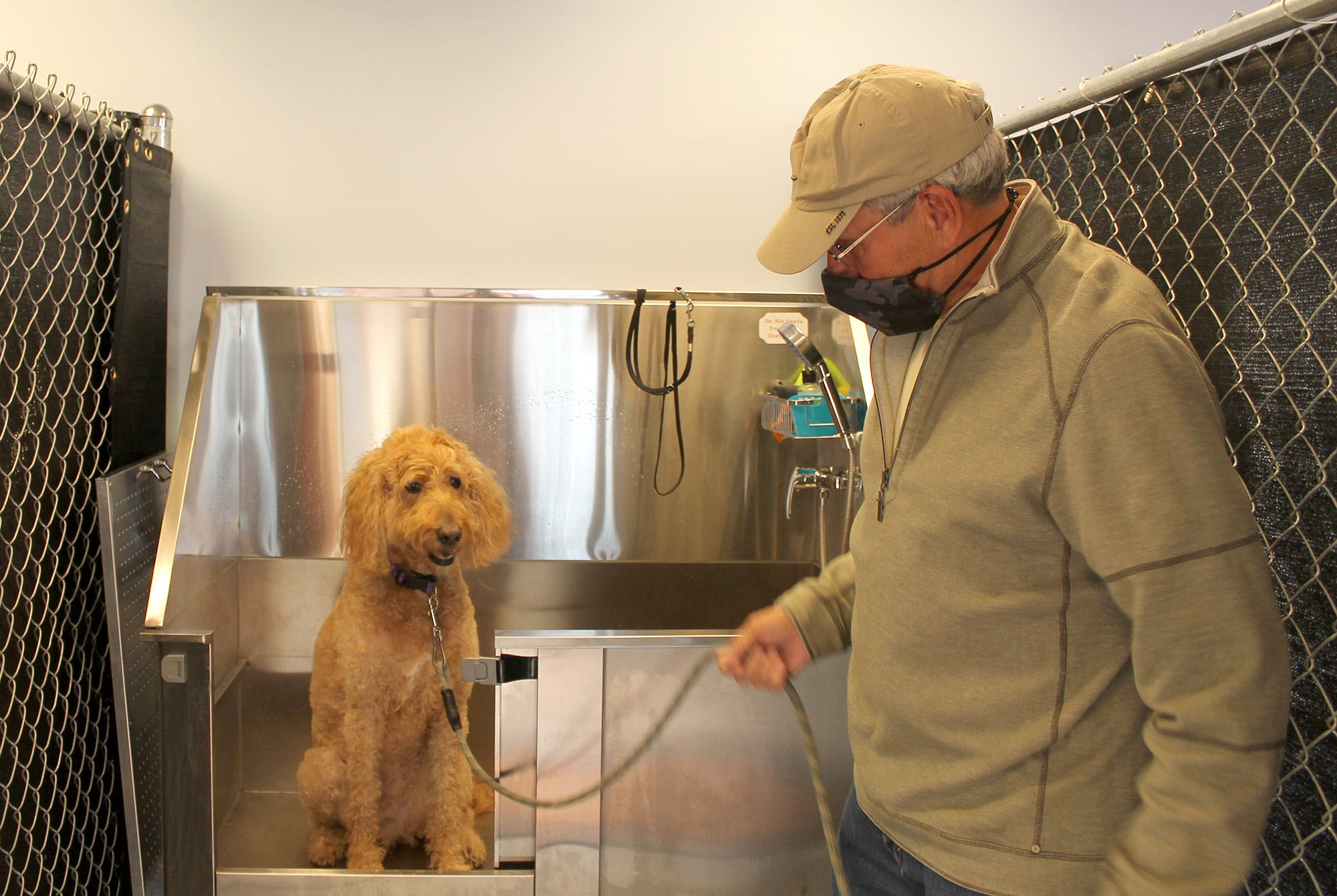 Selfservice dog wash opens in Middletown as pet ownership grows
