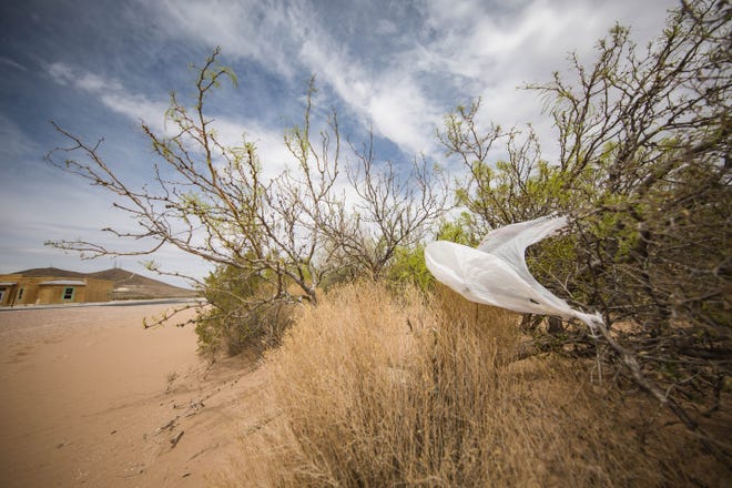 Plastic bags snag onto a tree branch in Las Cruces on Wednesday, April 15, 2021.