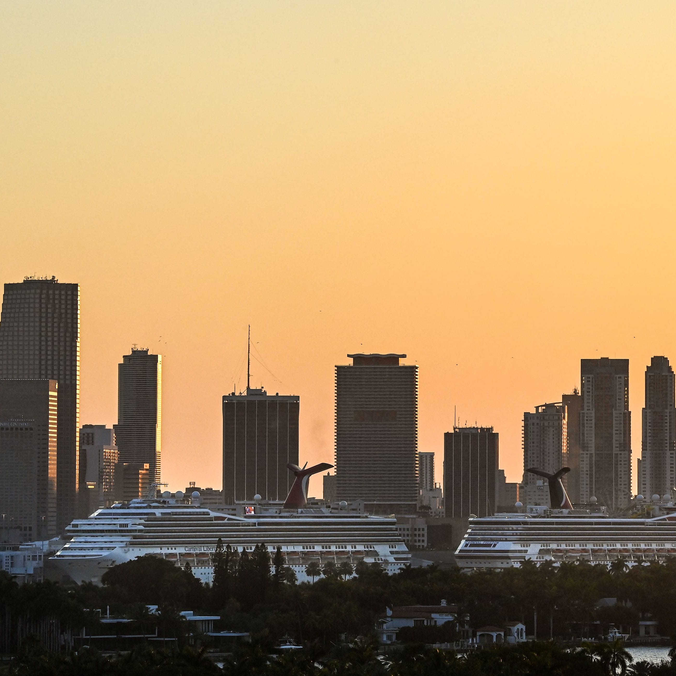 Vaccine Passport How To Prove You Got A Covid 19 Shot For Travel