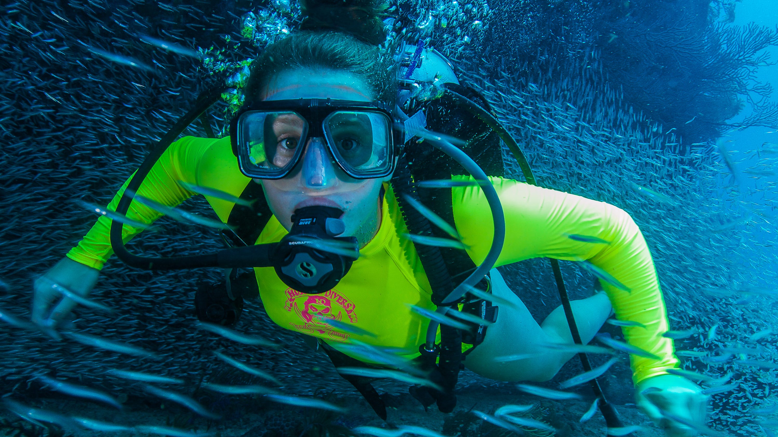 scuba diving experience tours