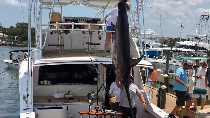 Wait ... how big was Florida woman's swordfish catch off St. Lucie Inlet?
