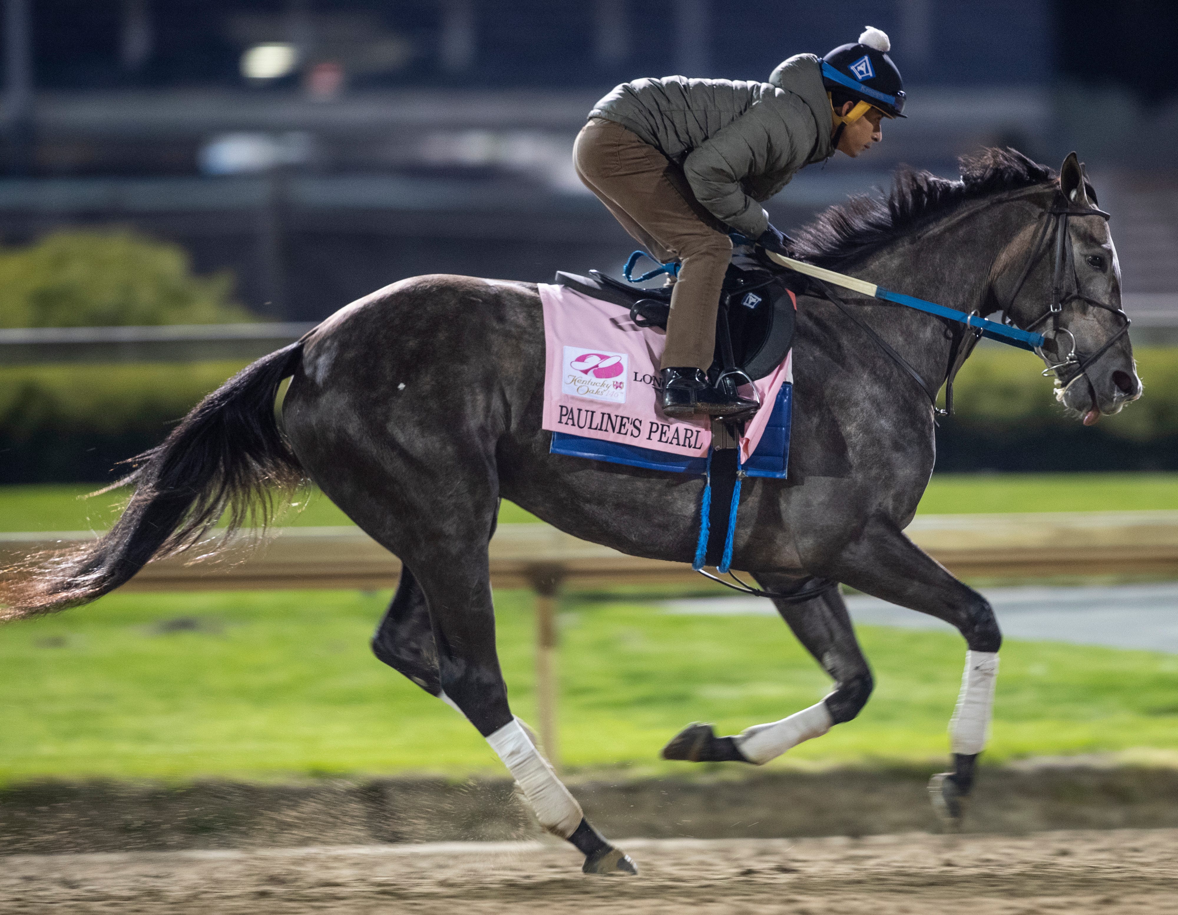 Kentucky Oaks horses 2021 Get to know 14 of the top contenders