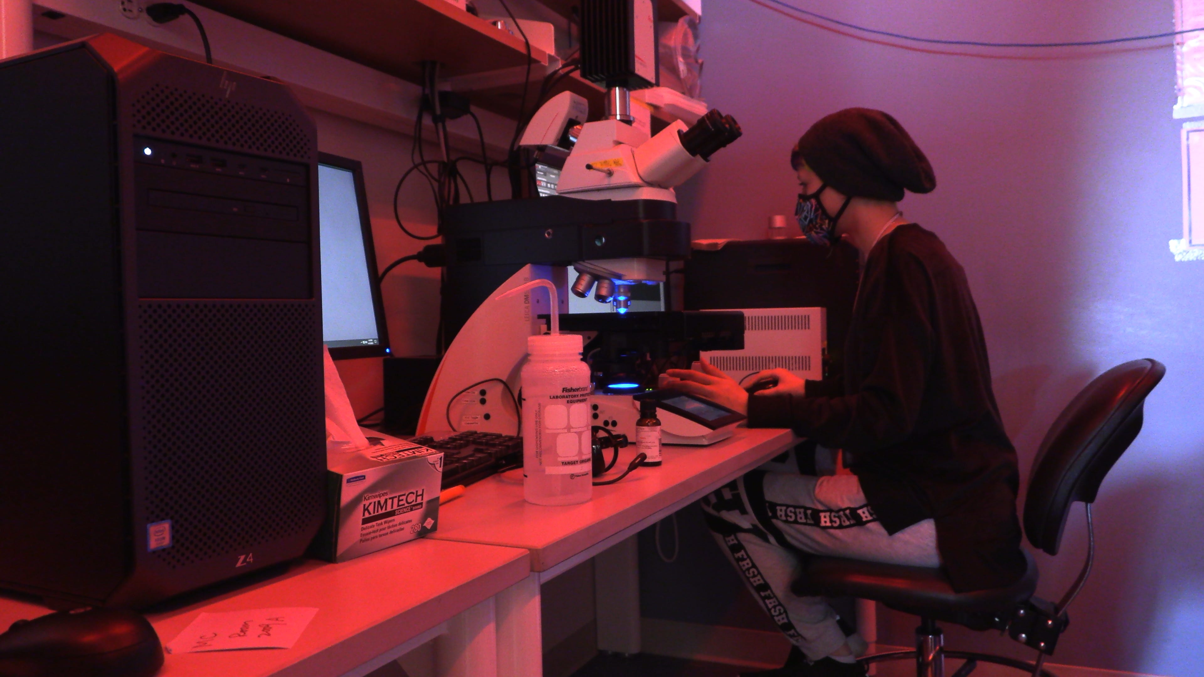 Lena Labdi, a research assistant at the University of Massachusetts Medical School in Worcester, examining slides in the Sena-Esteves lab on April 13, 2021.