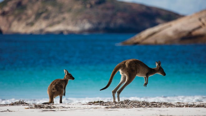 Here’s why you should consider Western Australia
