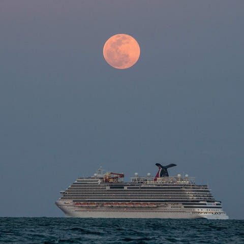 The Carnival Vista cruise ship is seen sailing dur