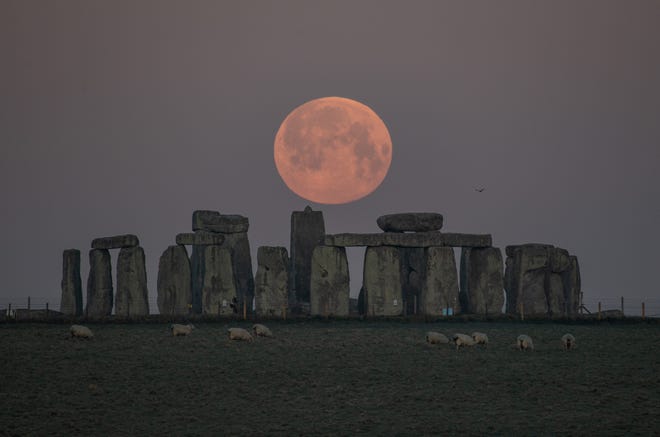 Stonehenge’s vertical stones measure as high as are up to 30 feet high and weigh up to 25 tons each.