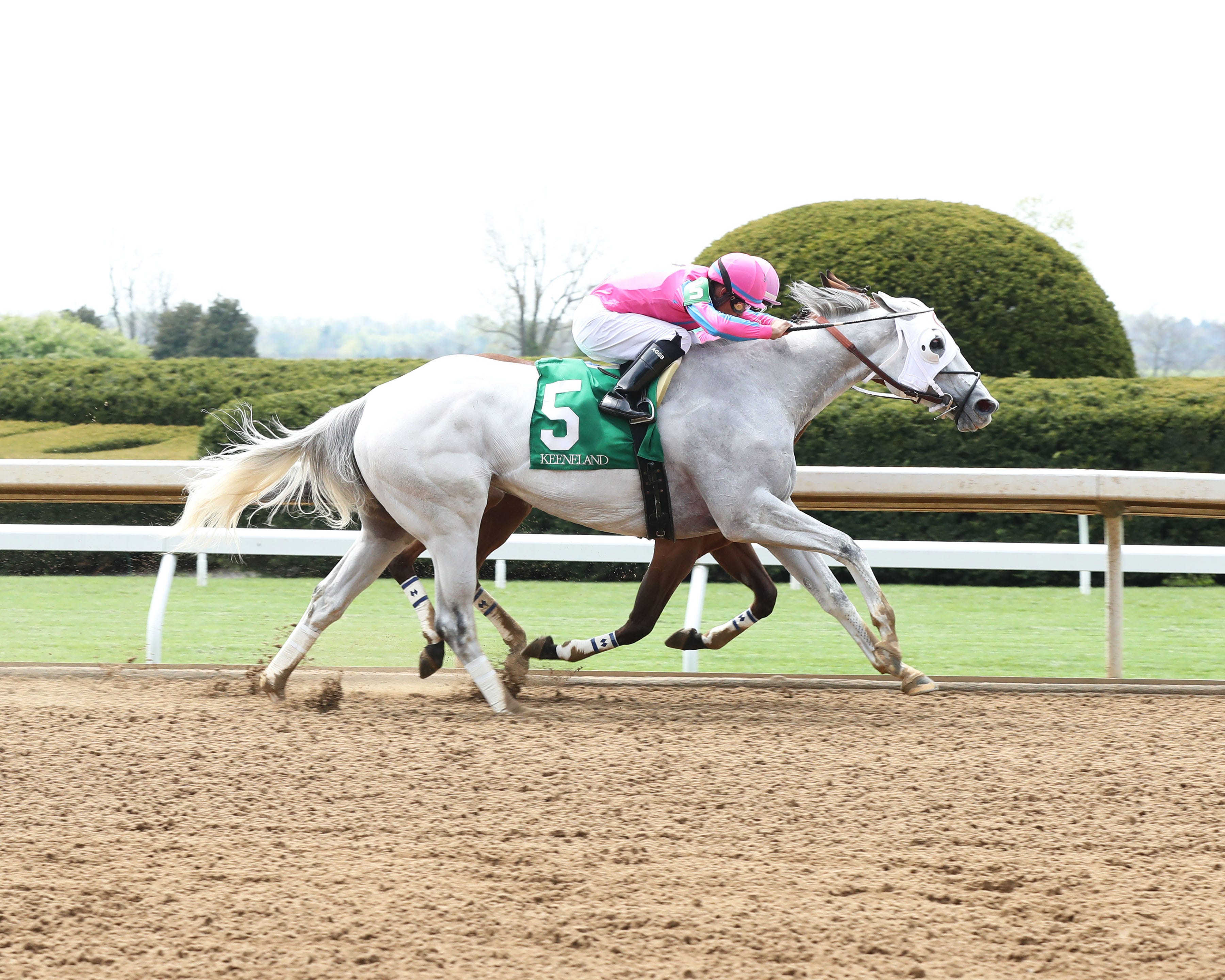 Kentucky Derby 2021: Handicapper Ed DeRosa's expert picks ...