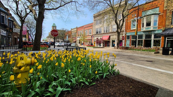 Tulips bloom in downtown Holland on Wednesday, April 28.
