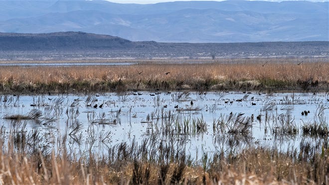 Carson Lake and Pasture wetlands area will now be overseen by the Nevada Department of Wildlife following the conveyance of 23,000 acres.