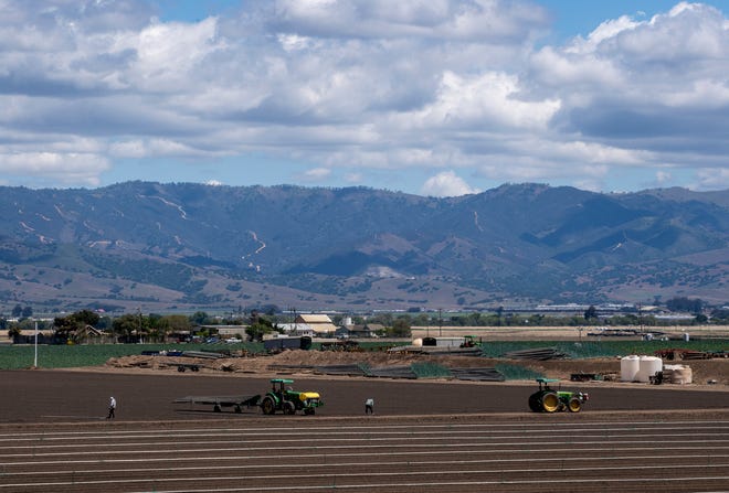 Los trabajadores agrícolas atienden los campos en un día claro y nublado en Salinas, California, el lunes 26 de abril de 2021.