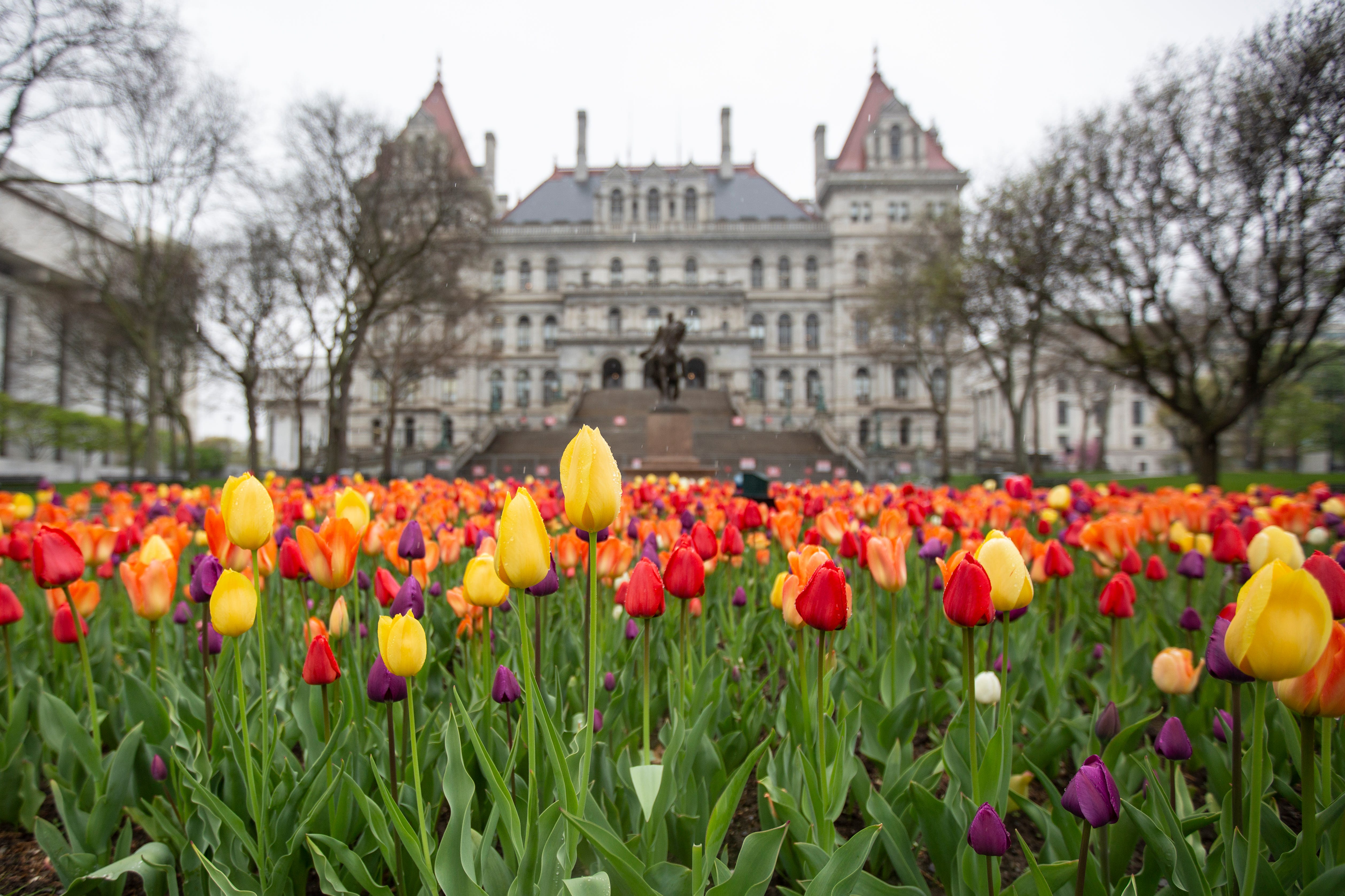 The New York State Capitol Building in Albany on Thursday, April 29, 2021. Even with the federal stimulus money, state lawmakers are raising taxes on the rich.