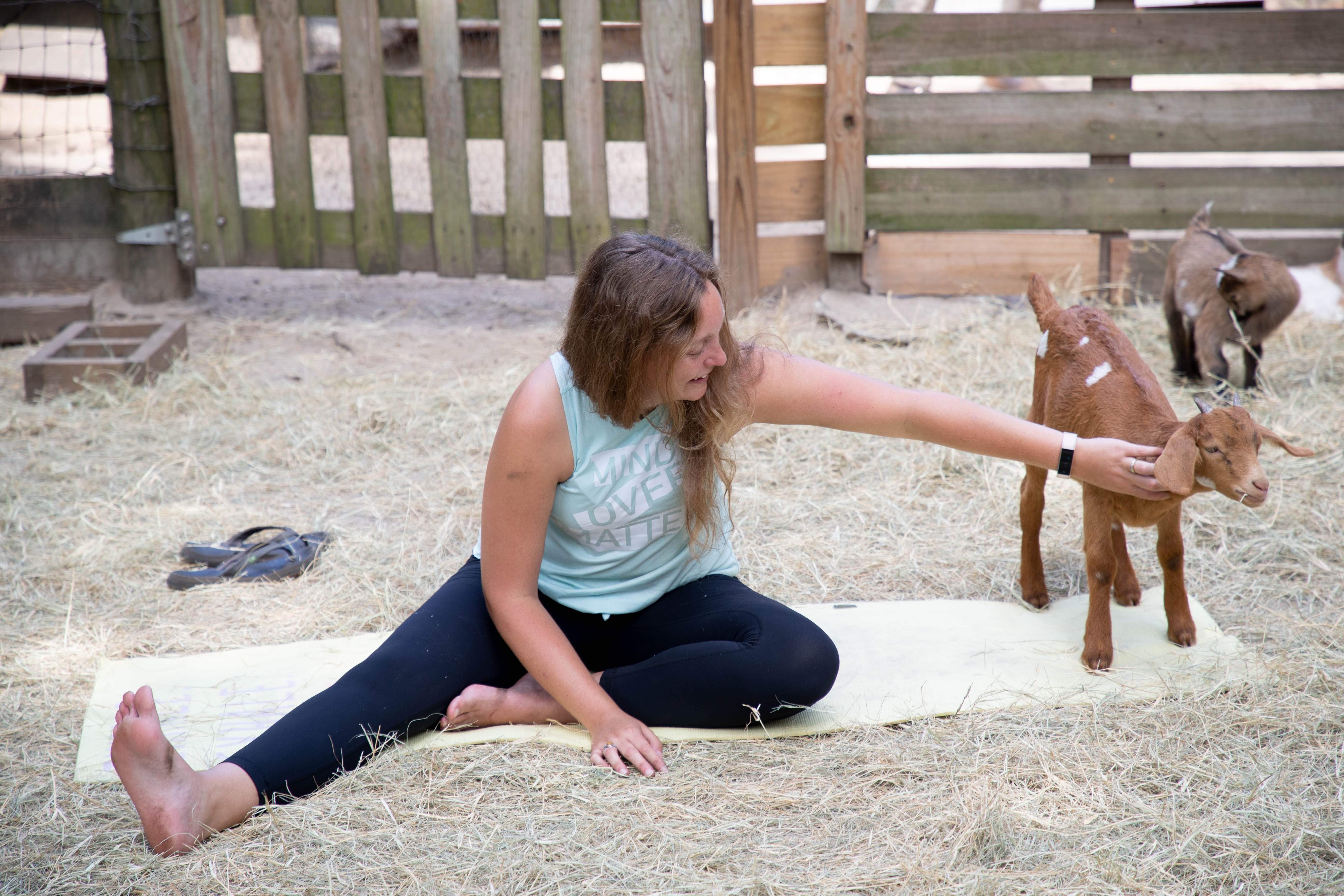 Baby goat yoga pet therapy adds new twist in Tallahassee