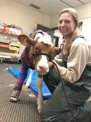 According to the AVMA, there is a shortage of mixed animal and farm animal veterinarians across the country due to the unpredictable hours and the need to live in rural areas. Many students opt to practice in more urban areas due to higher salaries which allow them to pay down student debt more quickly.