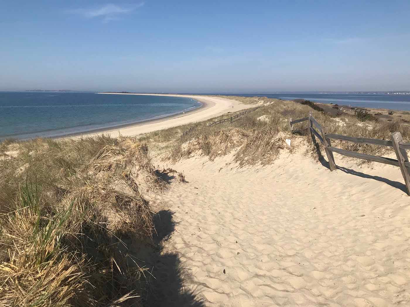 A sandy path leads to a wide expanse of beach.