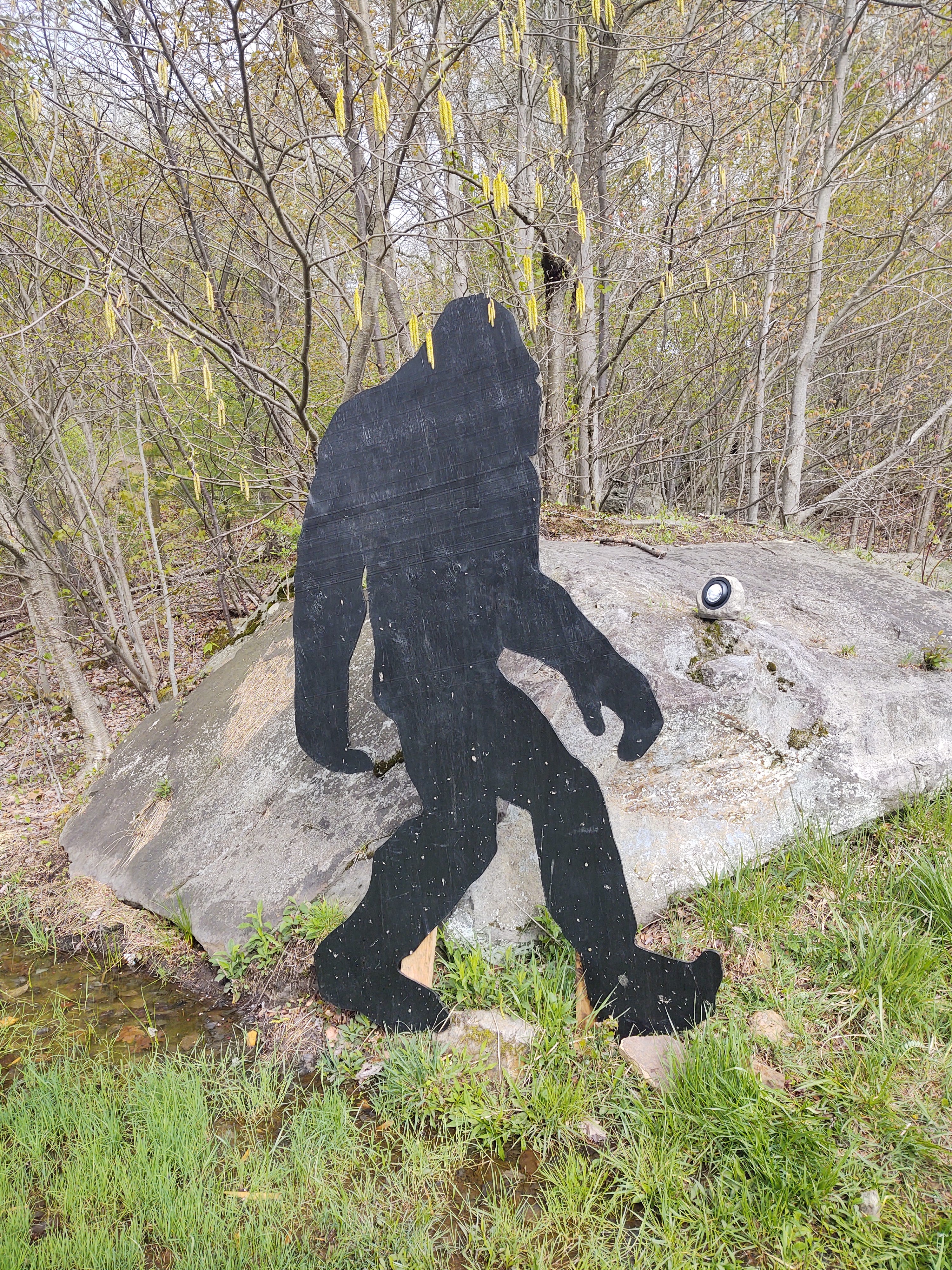 Bigfoot, Sasquatch to take center stage in Forest County festival, hunt