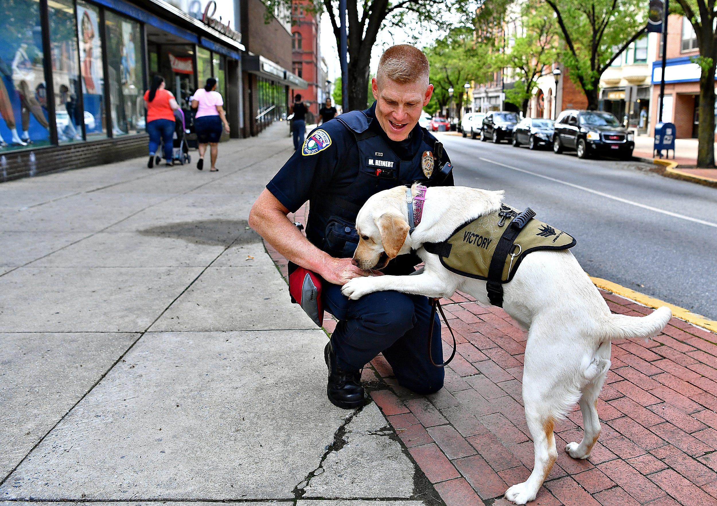 are police dogs service dogs