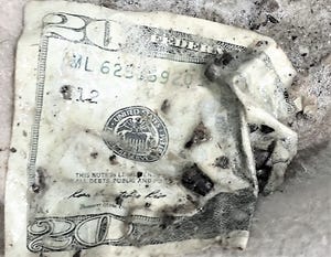 At least the family dog has good taste.