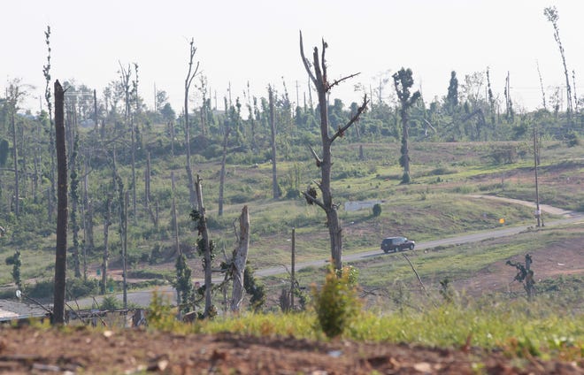 A car drives on a road in Pleasant Grove, Alabama August 23, 2011.  A path of destruction 80-miles long destroyed a forested area of the city of 10,000 West of Birmingham.  
