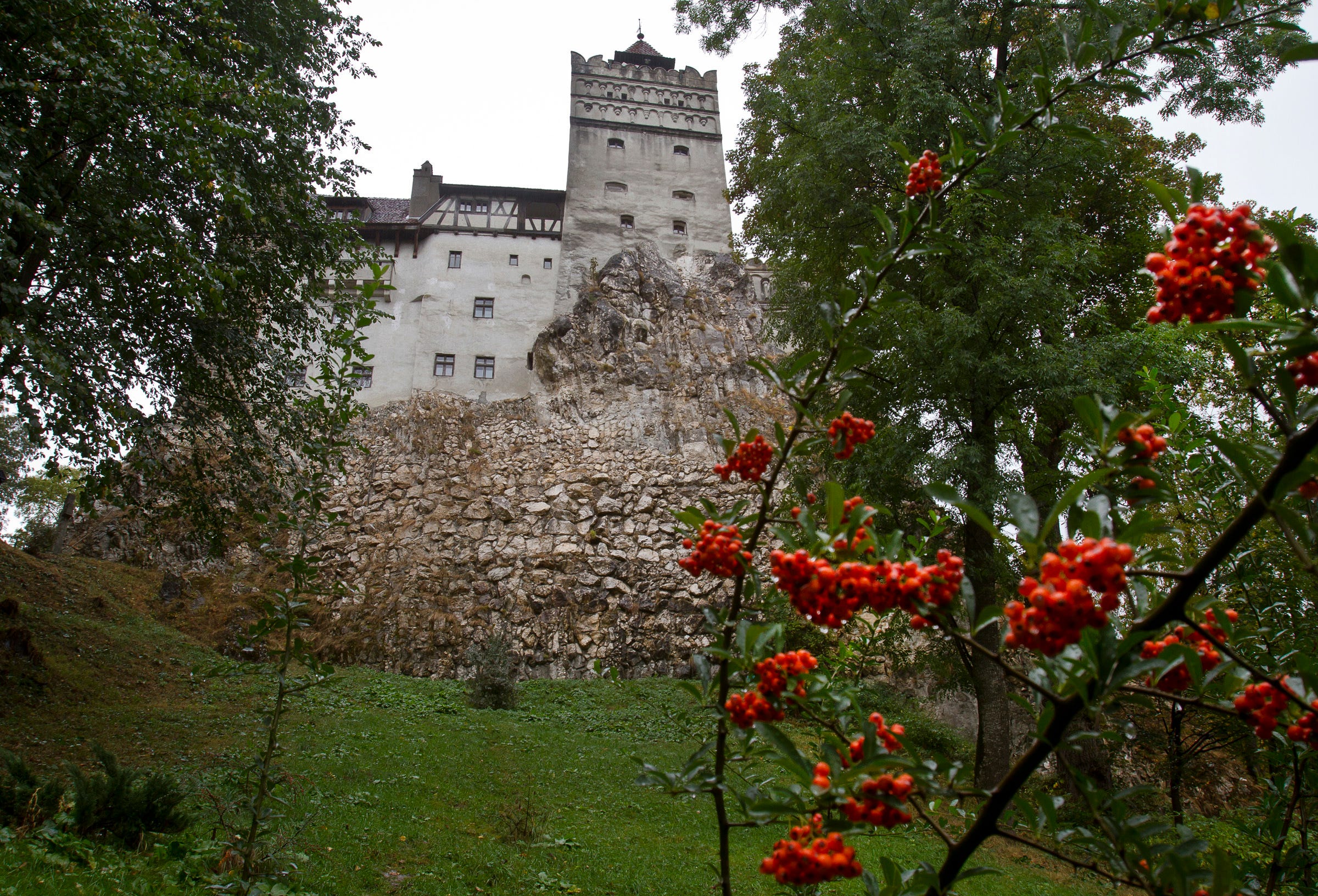 Dracula's castle proves an ideal setting for COVID-19 jabs 1