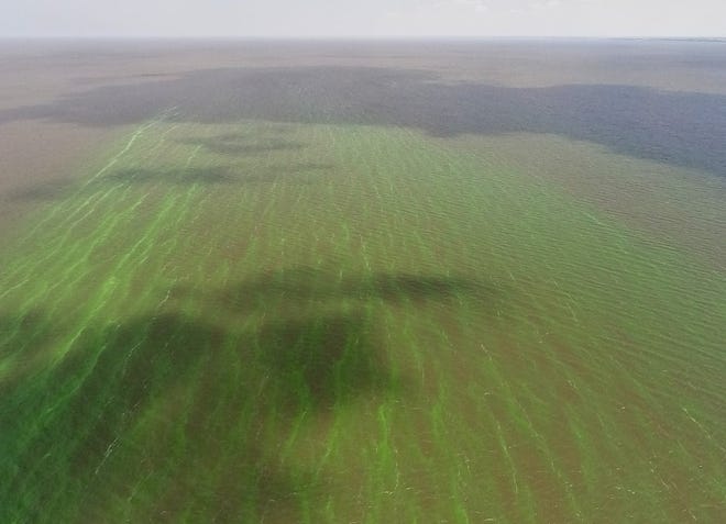 Blue-green algae on Lake Okeechobee can be seen in this aerial image taken on May 3, 2021.