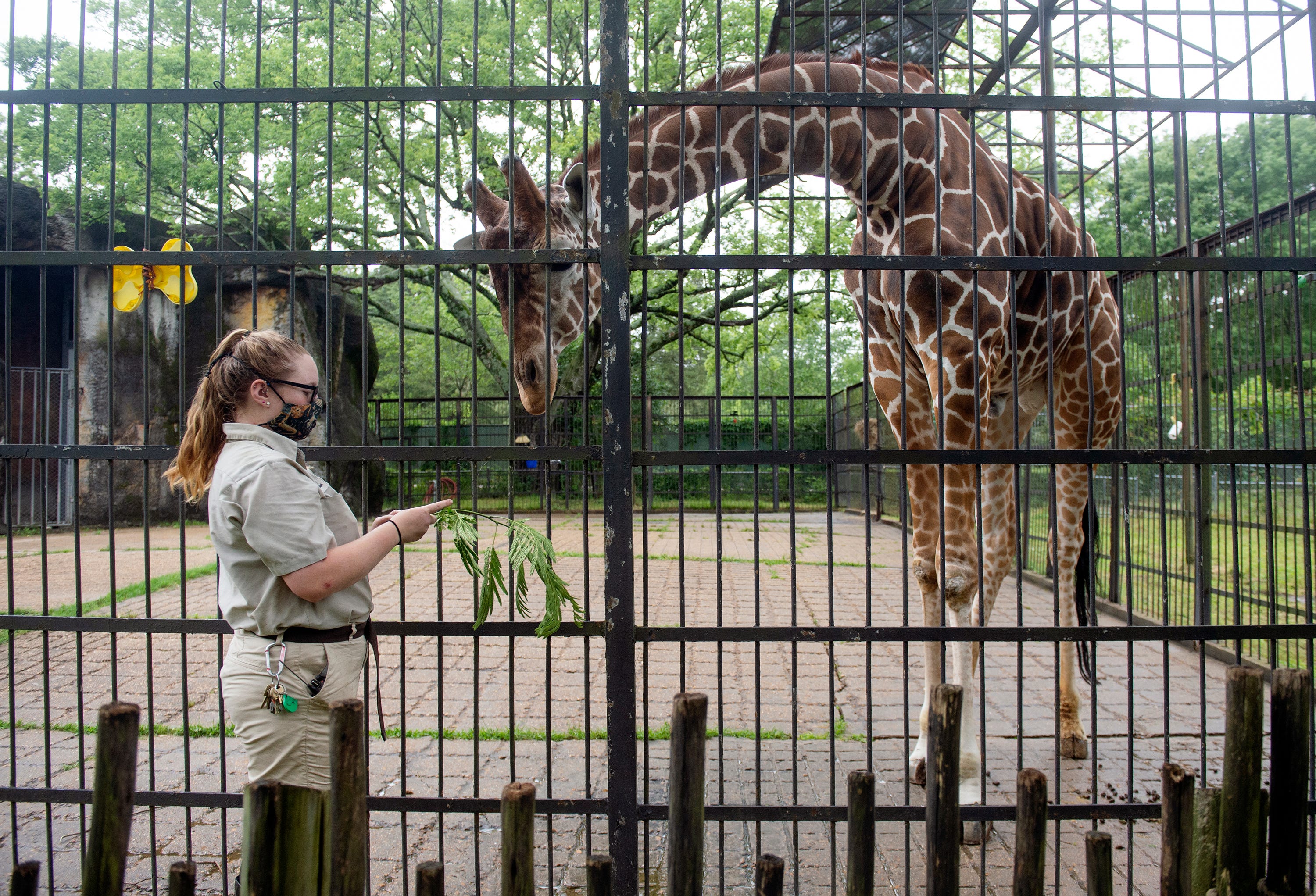 Need summer inspiration? Check out these things to do in Jackson