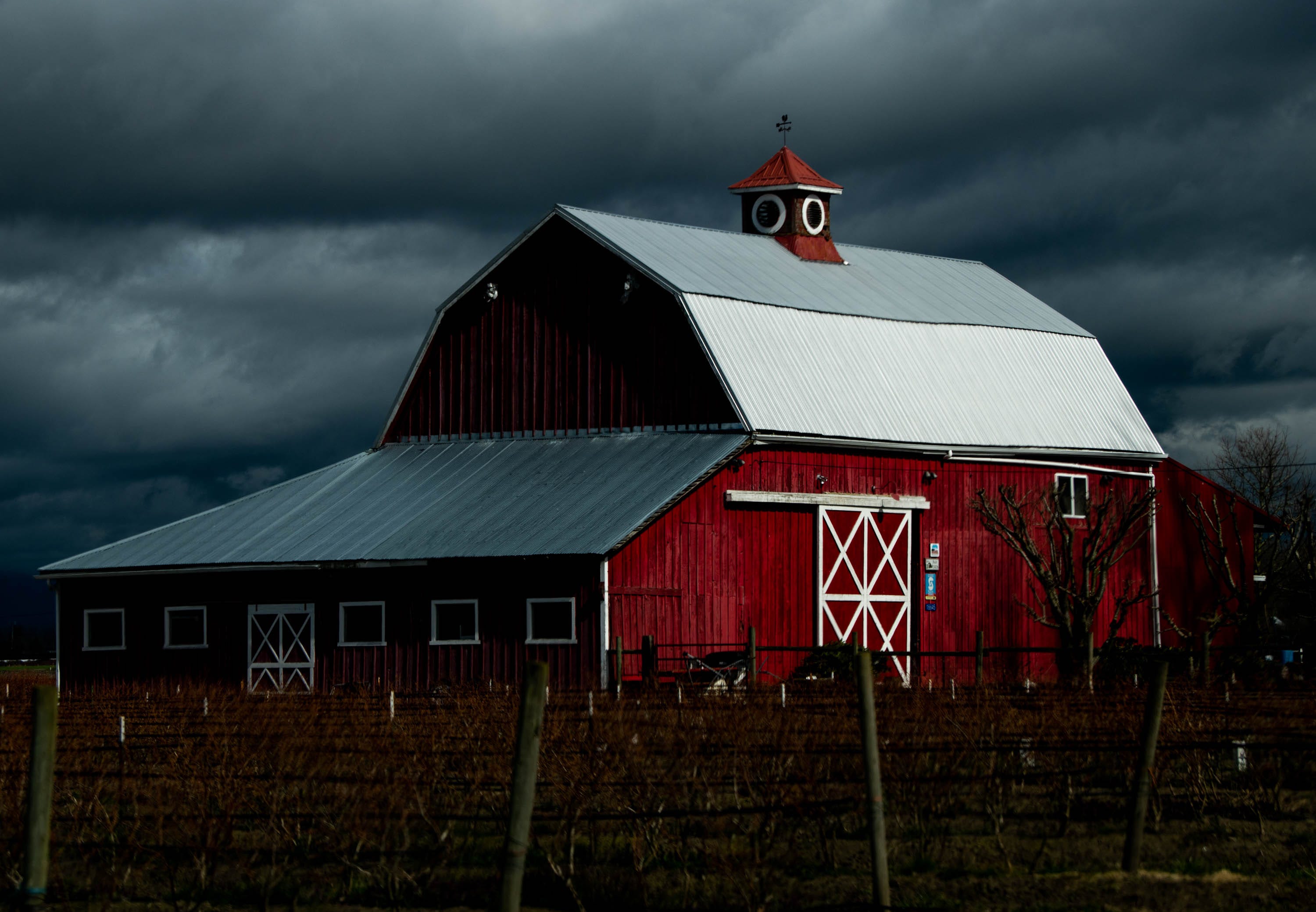 The sun bounces off of a barn where Felipe Gutierrez used to work picking blueberries in Mount Vernon, Washington. Guillermina Gutierrez Martinez, Felipe's daughter, remembers eating berries straight from the bush when she would accompany her parents to work as a young child.