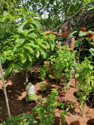 Photo of Doreen Blas tending her garden in Dededo.