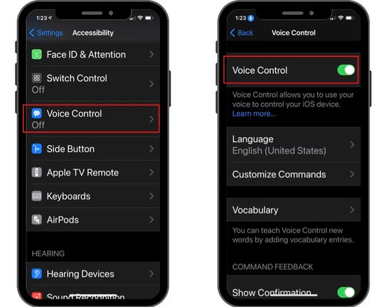 Voice control settings.