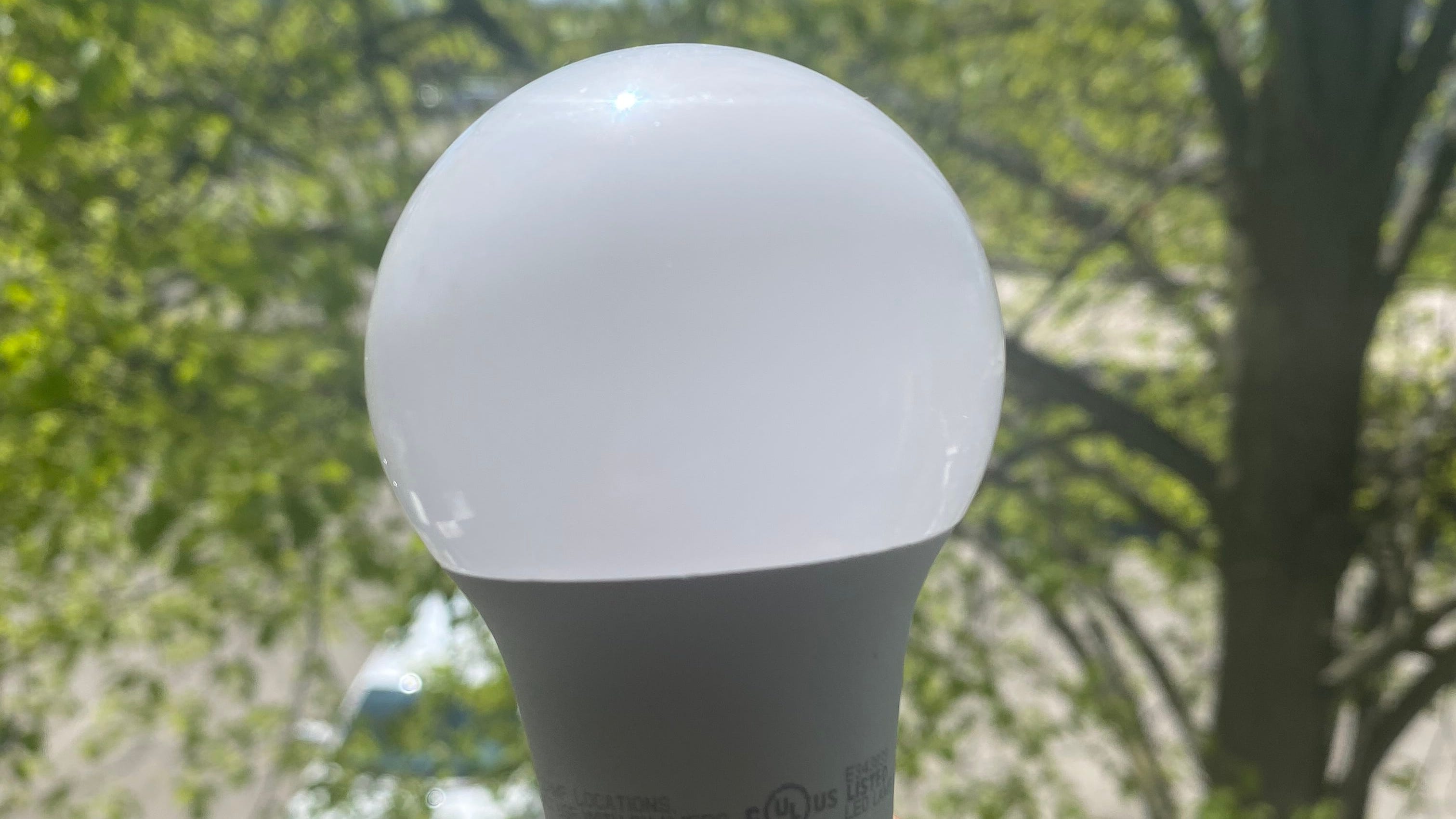 holland-zeeland-residents-can-get-energy-efficient-lightbulbs-for-free