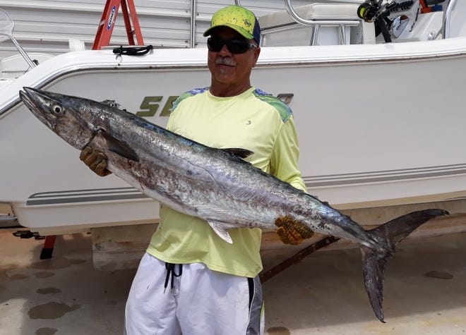 Tom Haines of Stuart caught this 43-pound kingfish and another 23-pounder in 50 feet of water May 12, 2021 while fishing out of Pirates Cove Resort and Marina in Port Salerno aboard his 24-foot Sea Pro.