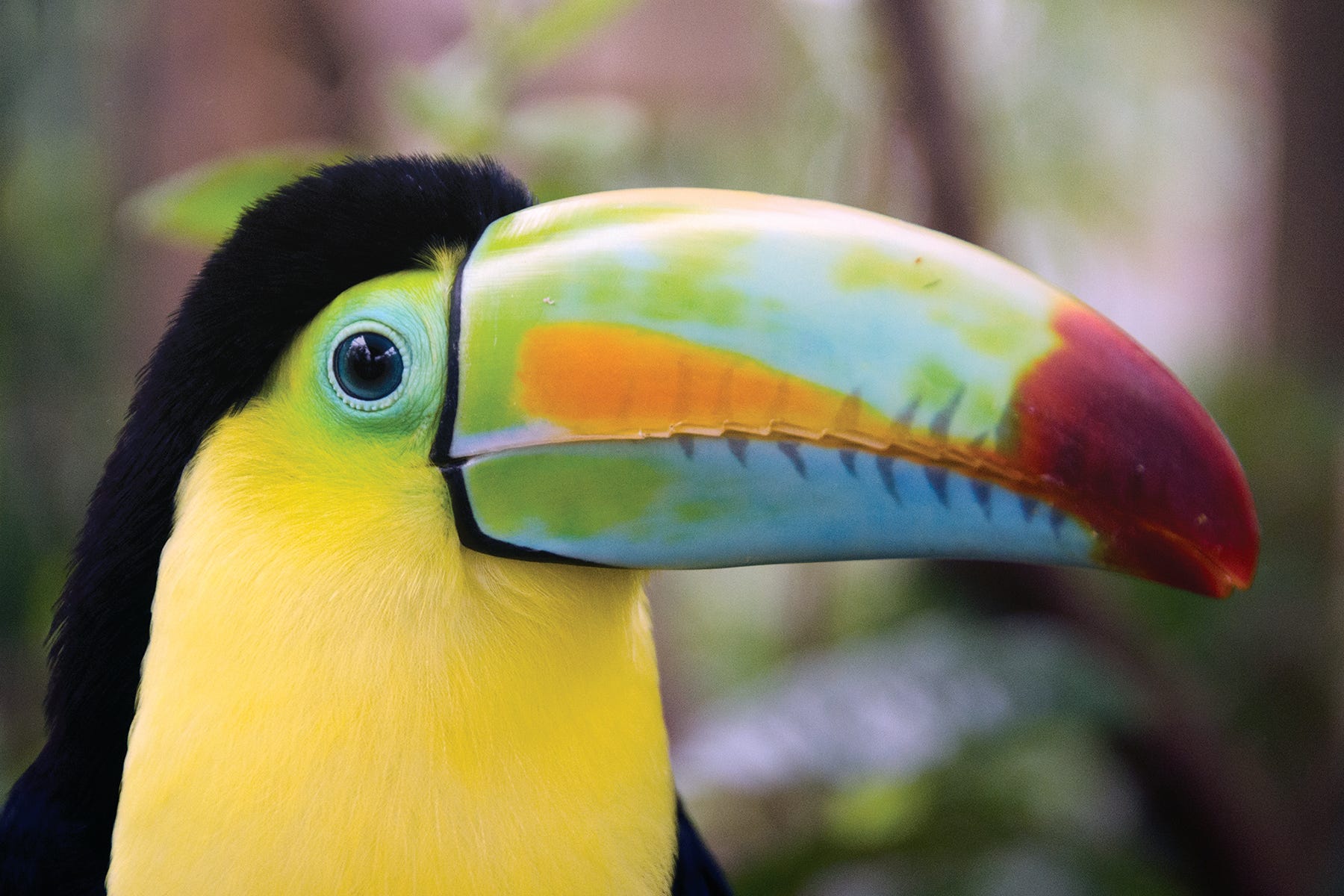 What's it like to travel to Costa Rica right now? Blissfully quiet in some parts What's it like to travel to Costa Rica right now? Blissfully quiet in some parts