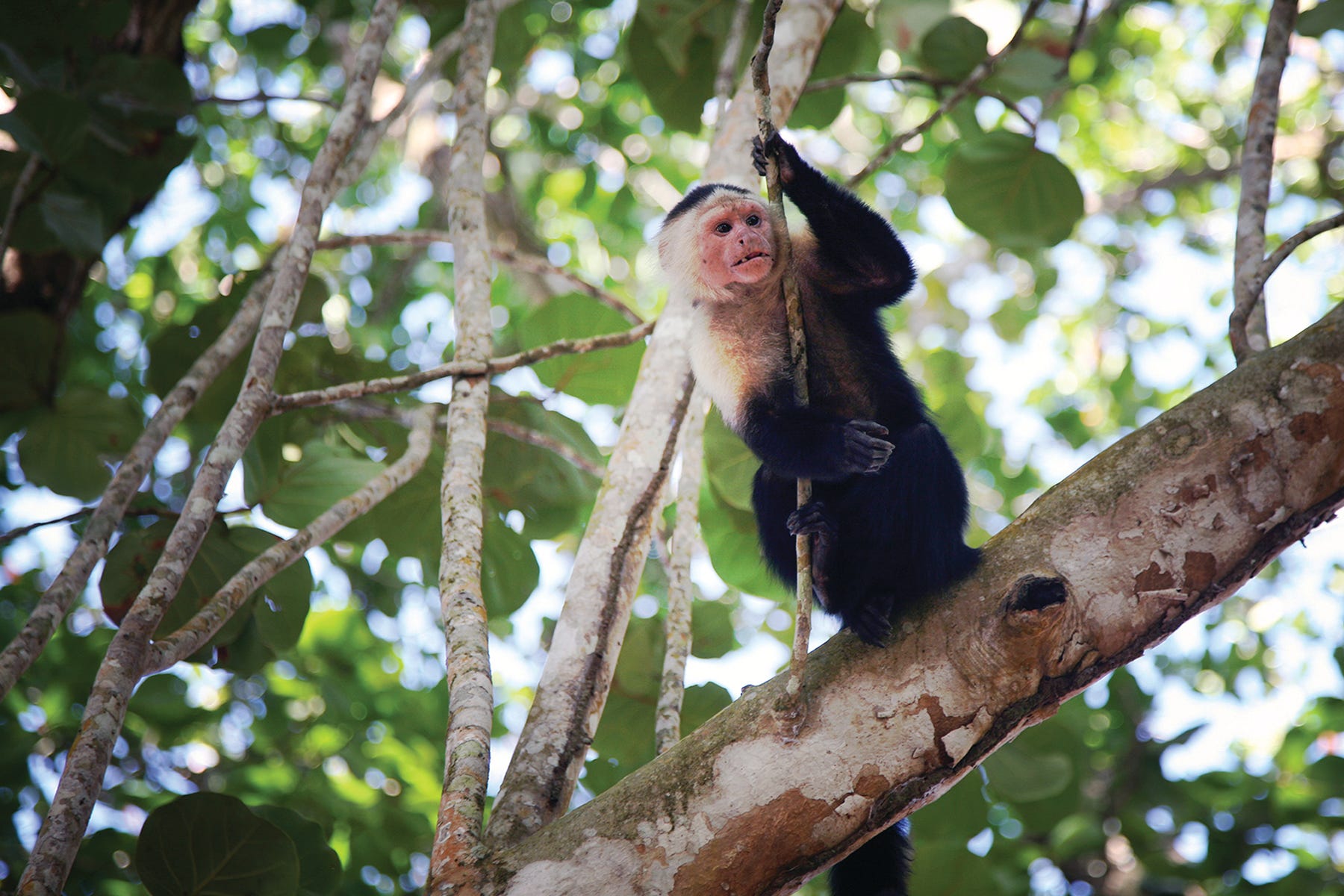 What's it like to travel to Costa Rica right now? Blissfully quiet in some parts What's it like to travel to Costa Rica right now? Blissfully quiet in some parts