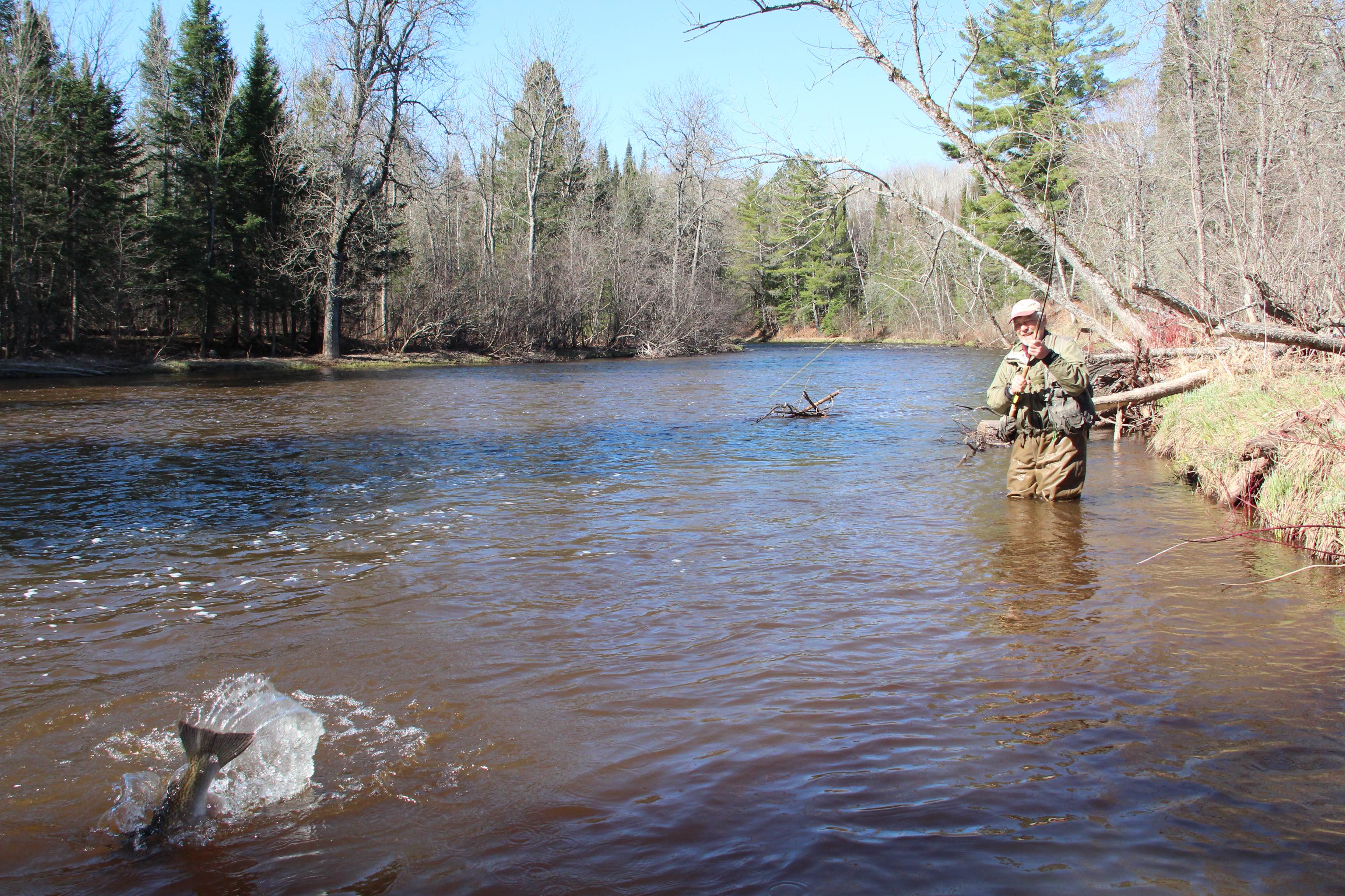 Wisconsin's Brule River provides scenic, wild fishing experience
