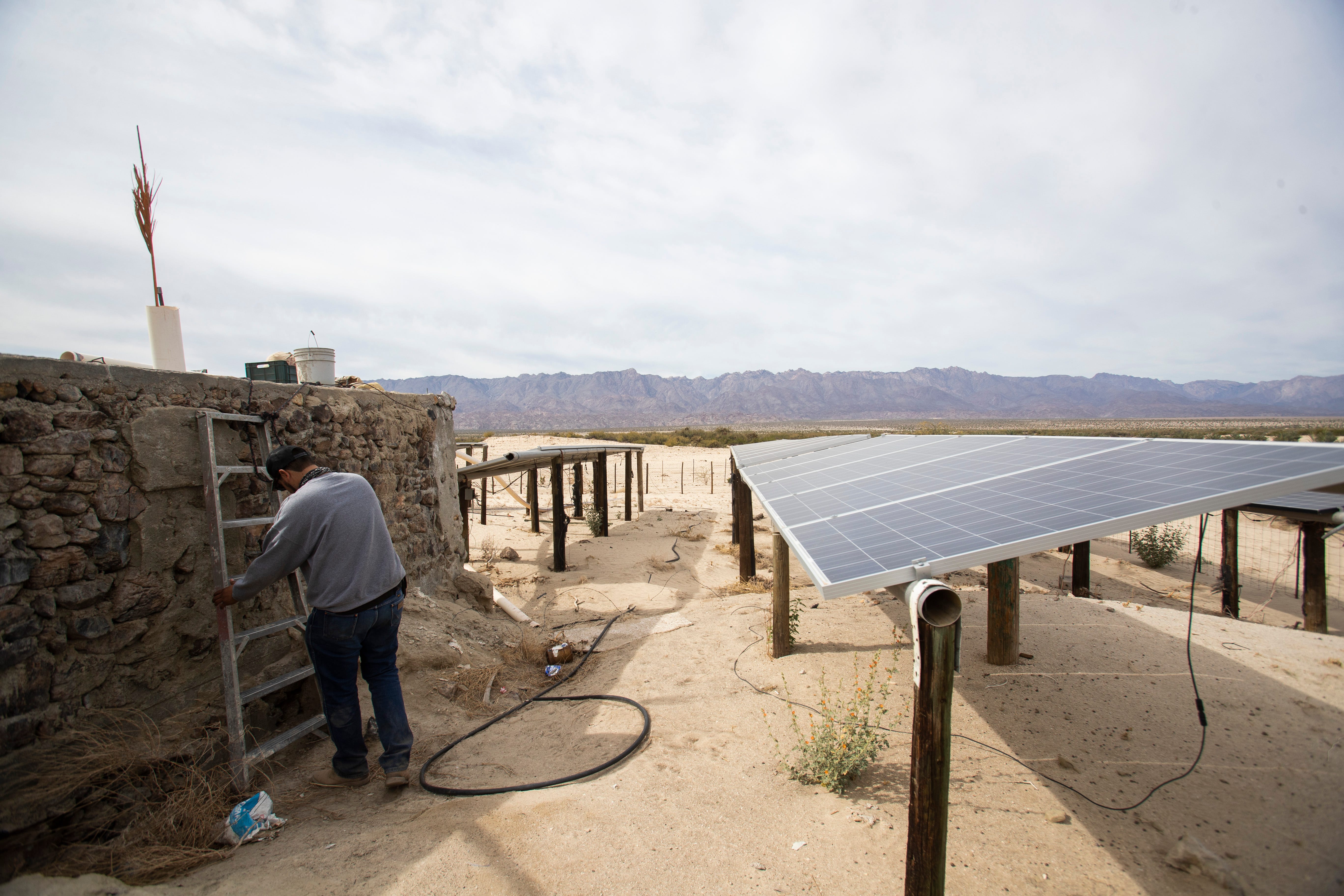 Solar panels power a date farm's well on the west side of Laguna Salada in Baja California.