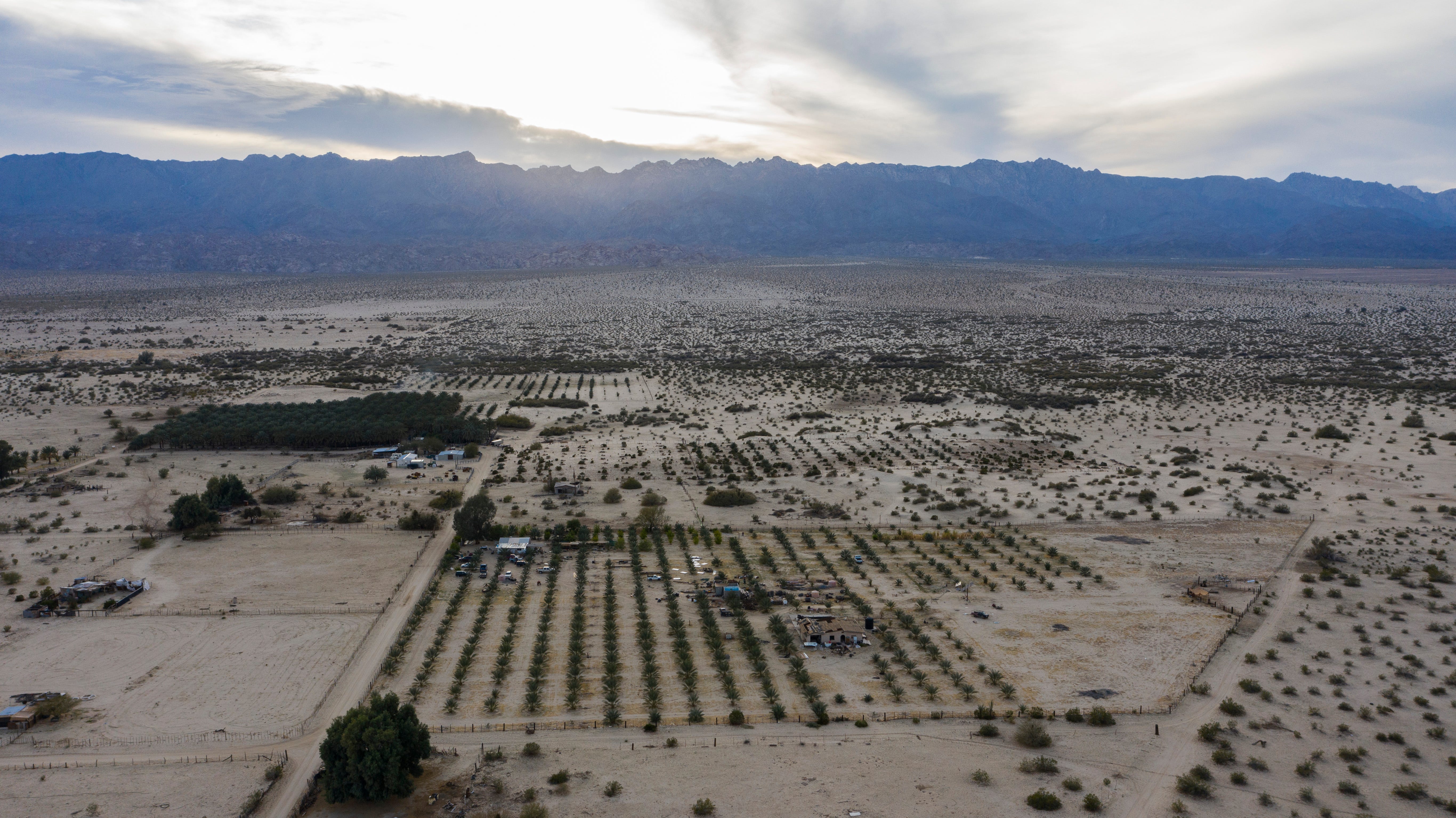 Farms dot the land in Ejido Federico Martinez Manatou, an area of communal agriculture in Mexico's Laguna Salada region.