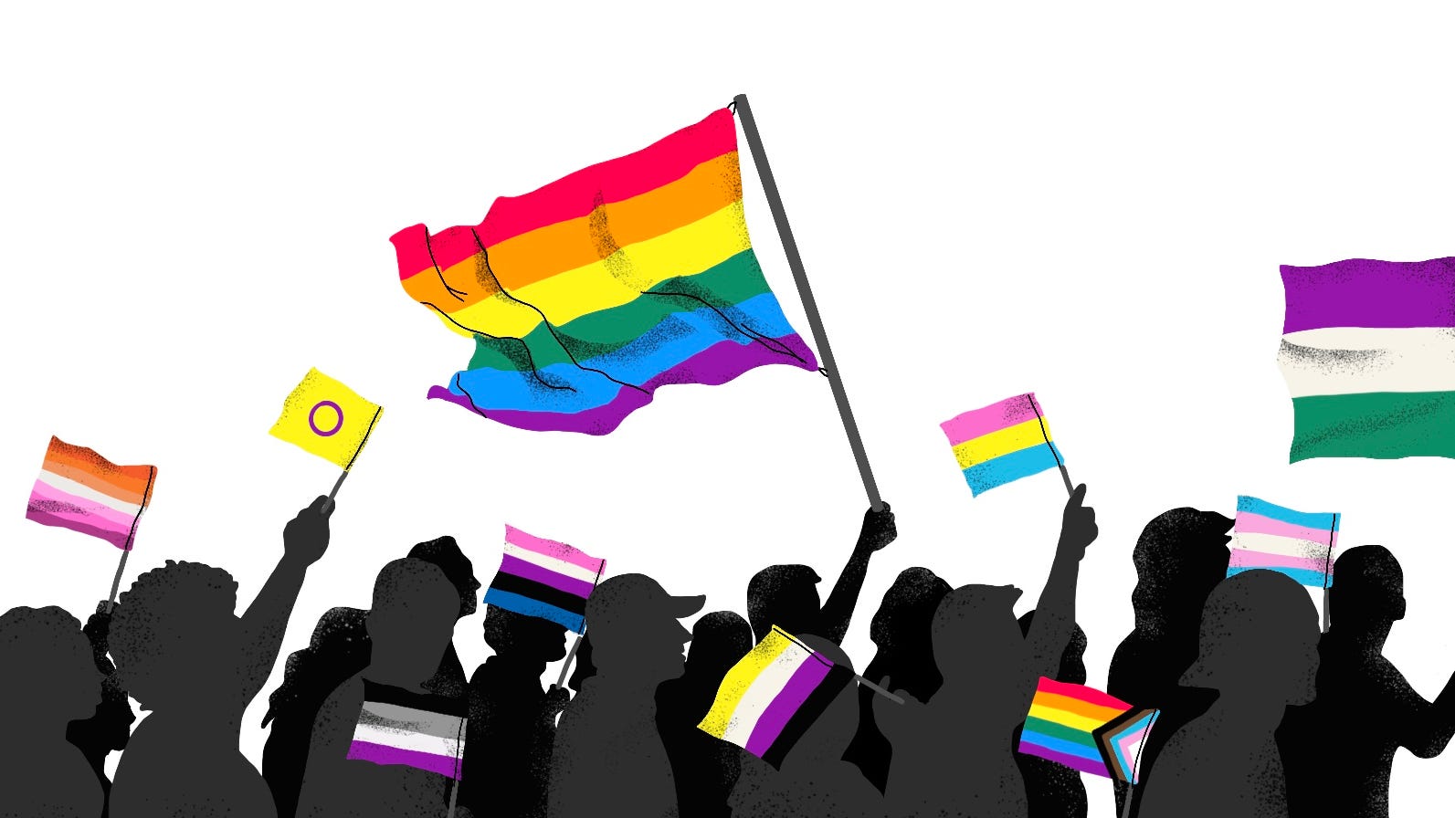 Here's What the Different LGBTQIA+ Flags Represent