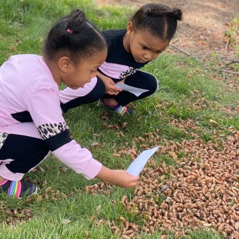 Twins Meena and Nyla Claytor-Howard, 4, find a gro